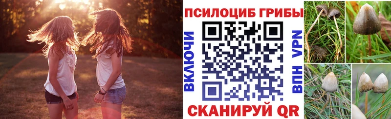 KRAKEN сайт Братск Галлюциногенные грибы Psilocybine cubensis
